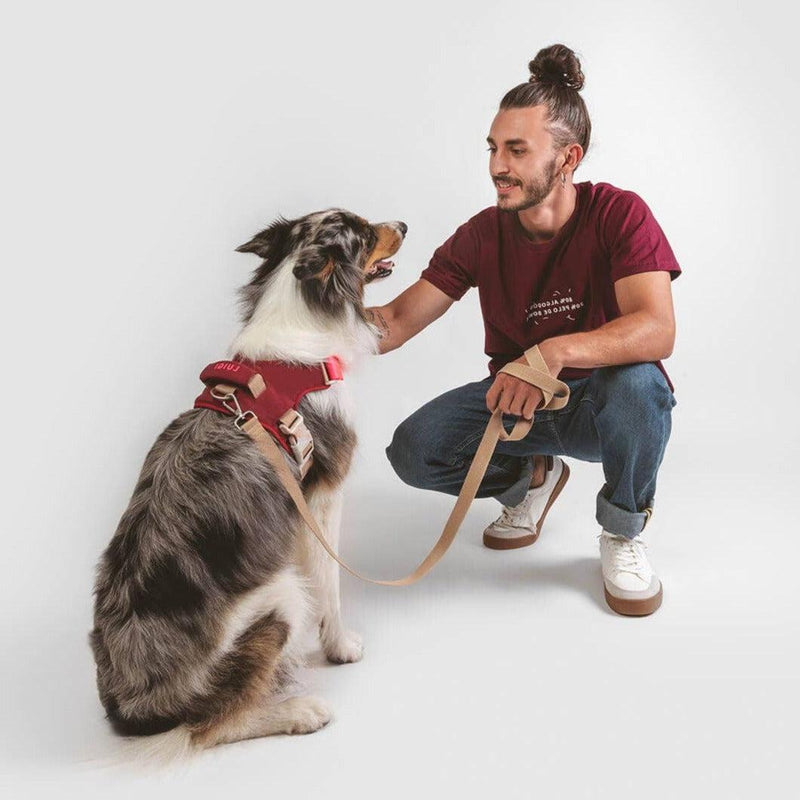 Qisu | Hug Dog Harness - Garnet-Qisu-Love My Hound