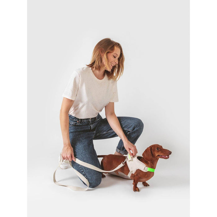 Qisu | Hug Dog Harness - Mint-Qisu-Love My Hound