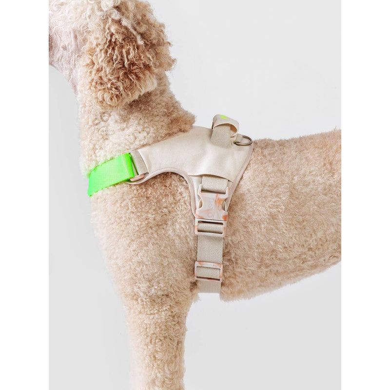 Qisu | Hug Dog Harness - Mint-Qisu-Love My Hound