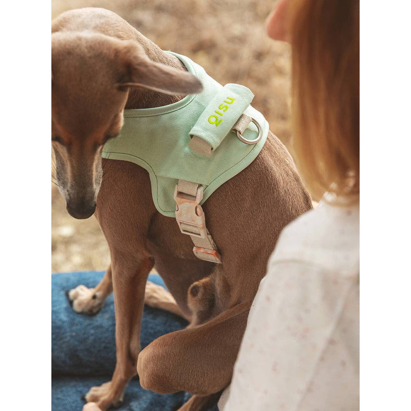 Qisu | Hug Dog Harness - Mint-Qisu-Love My Hound