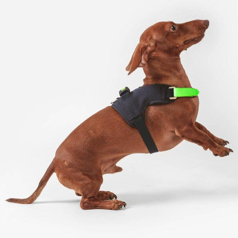 Qisu | Hug Dog Harness - Navy-Qisu-Love My Hound