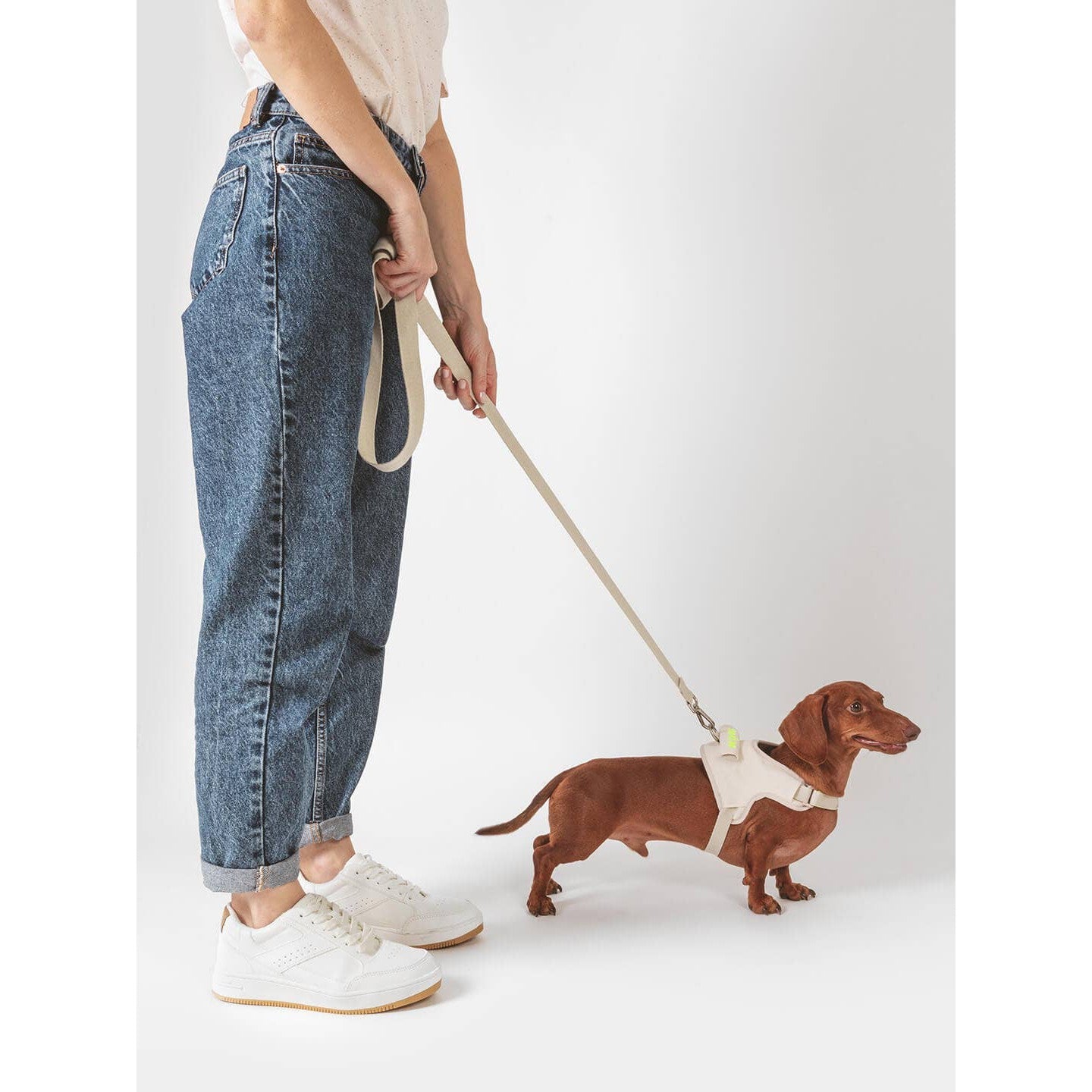 Qisu | Hug - Dog Leash-Qisu-Love My Hound