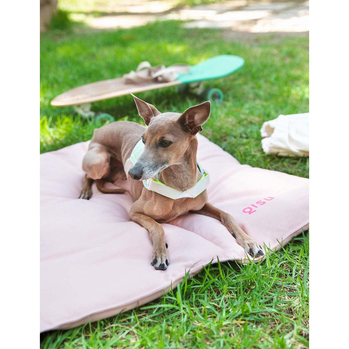 Qisu | Nomad Dog Bed-Qisu-Love My Hound