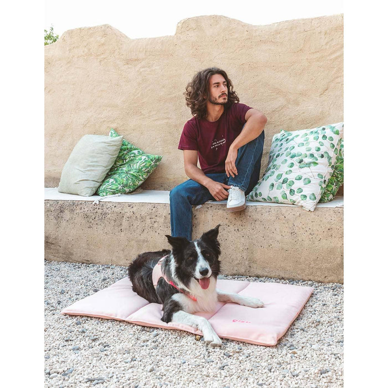 Qisu | Nomad Dog Bed-Qisu-Love My Hound