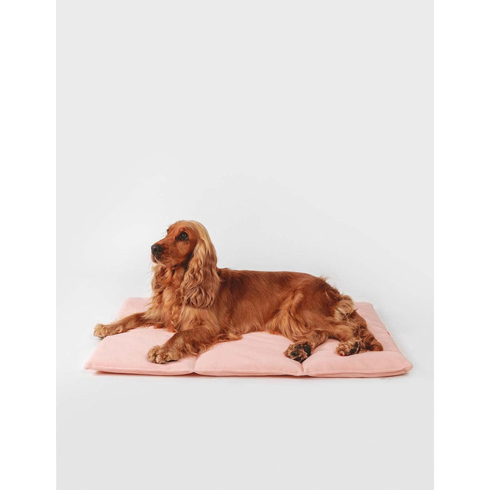 Qisu | Nomad Dog Bed-Qisu-Love My Hound