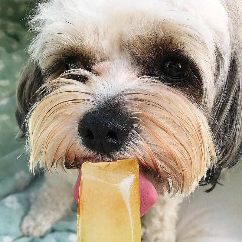 WOOF&BREW | Paw Pops Freeze Pops for Dogs - Natural Dog Treat-WOOF&BREW LTD-Love My Hound