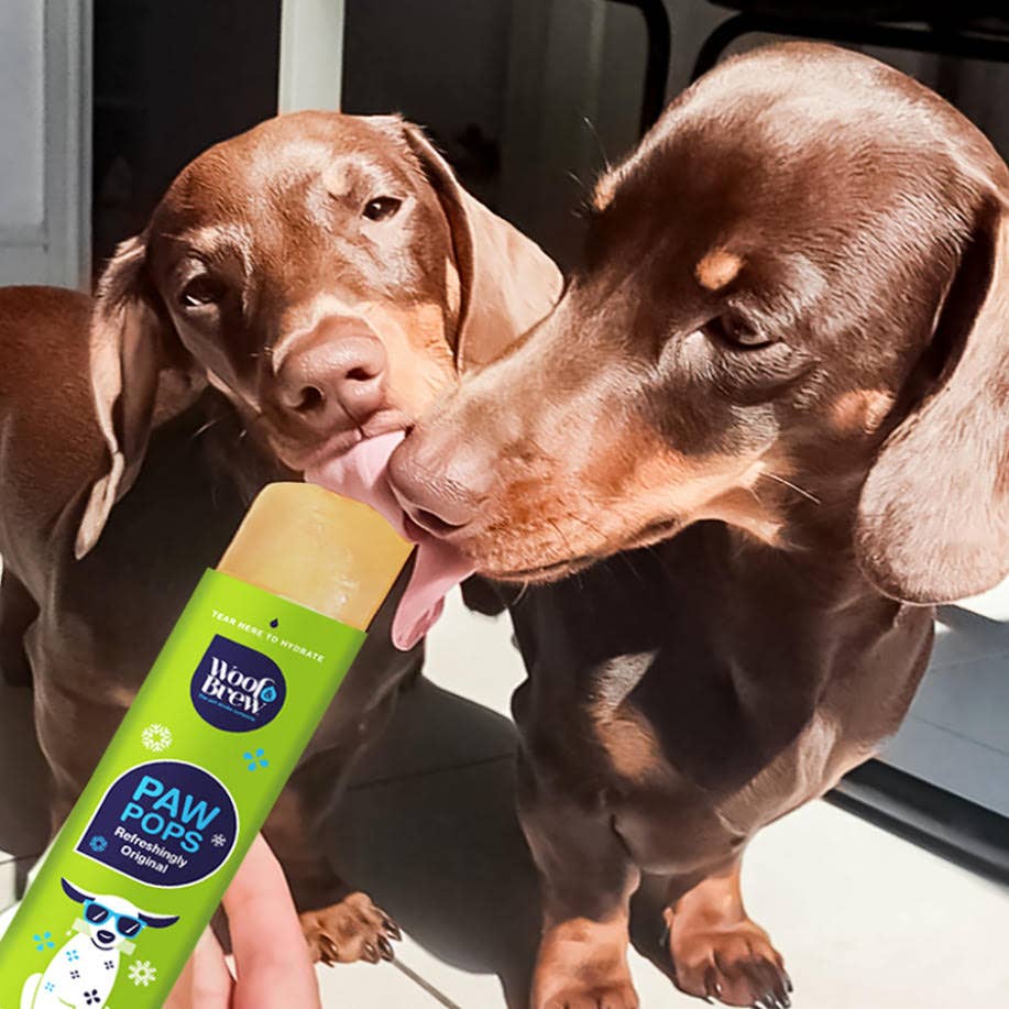 WOOF&BREW | Paw Pops Freeze Pops for Dogs - Natural Dog Treat-WOOF&BREW LTD-Love My Hound