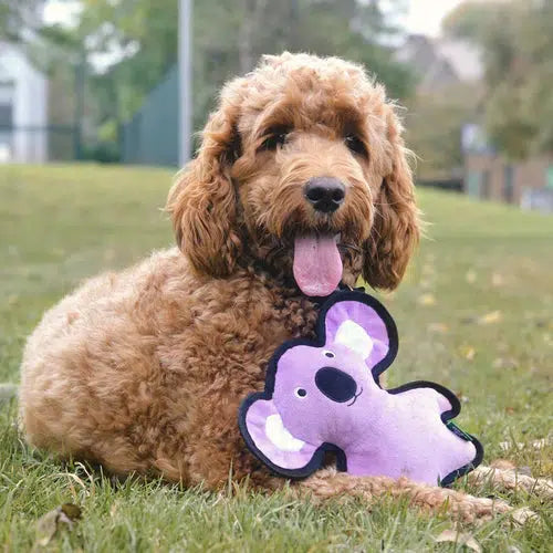 Beco - Recycled Rough & Tough - Keith the Koala Dog Toy-Beco-Love My Hound