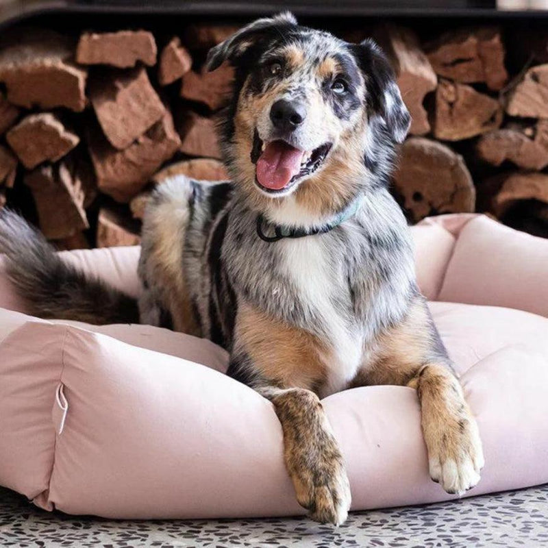 Dusky pink shop dog bed