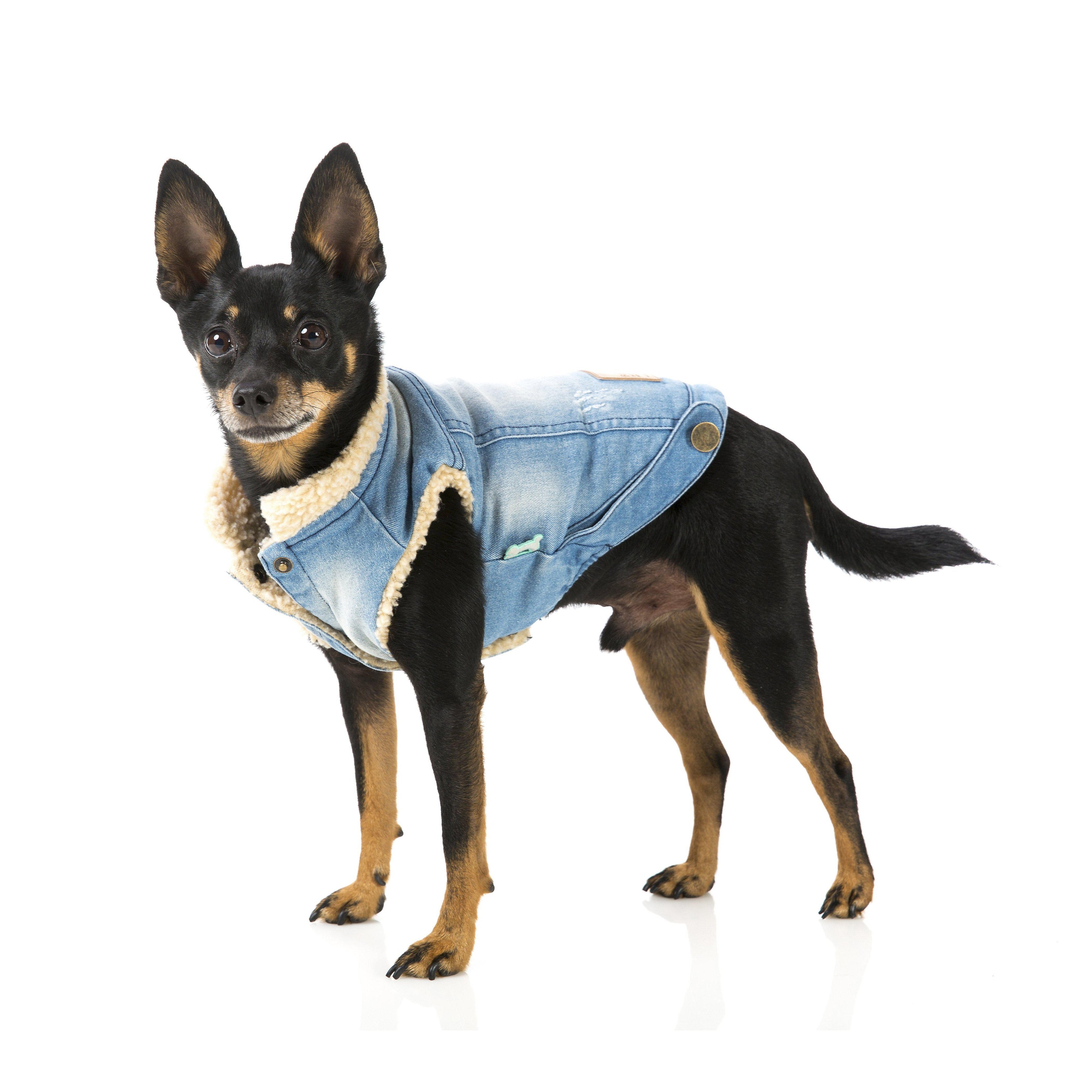 Chewing Dogior Monogram Denim Dog Jacket