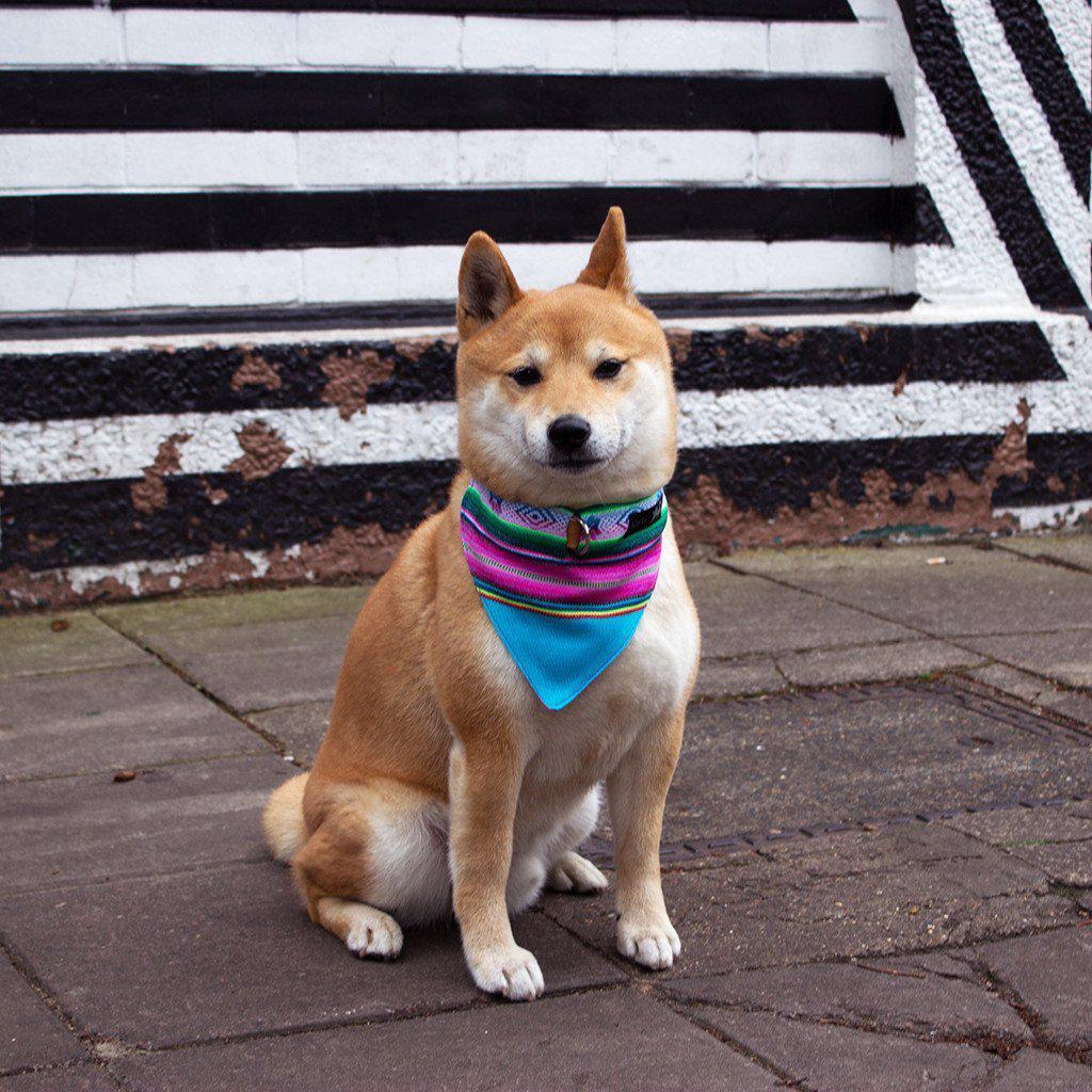 Hiro + Wolf Inca Blue Bandana-Hiro + Wolf-Love My Hound