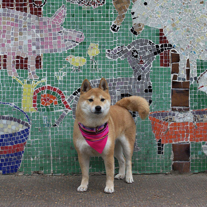 Hiro + Wolf Inca Pink Bandana-Hiro + Wolf-Love My Hound