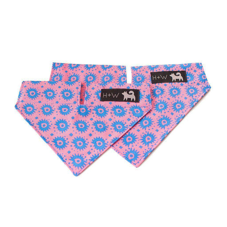 Hiro + Wolf Nebula Bandana